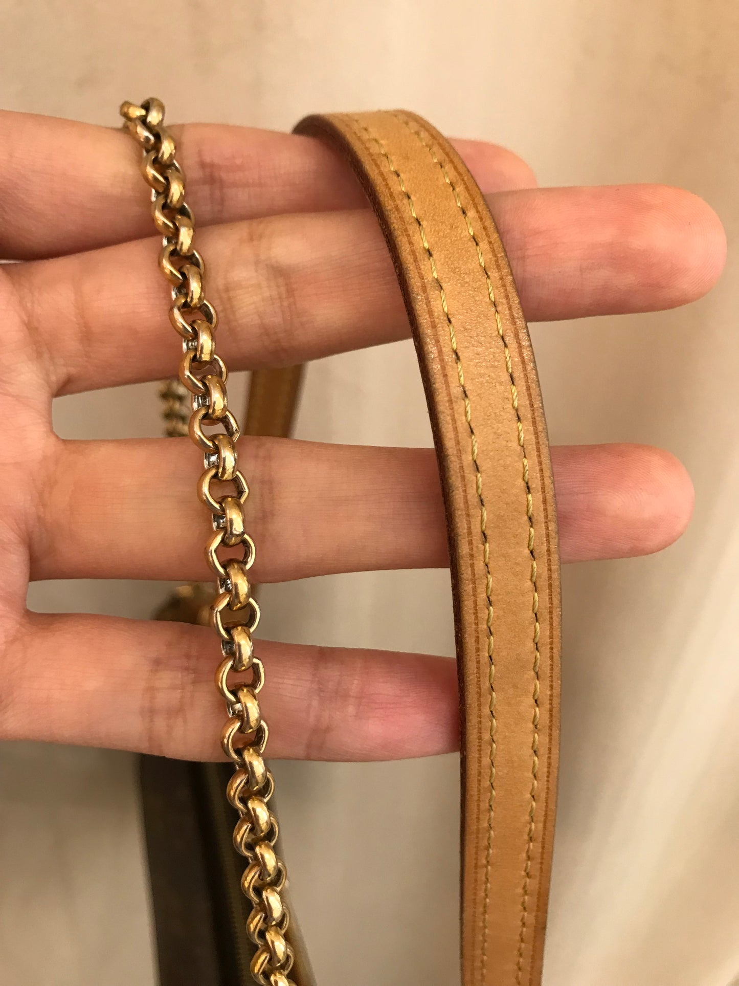 Louis Vuitton Eva