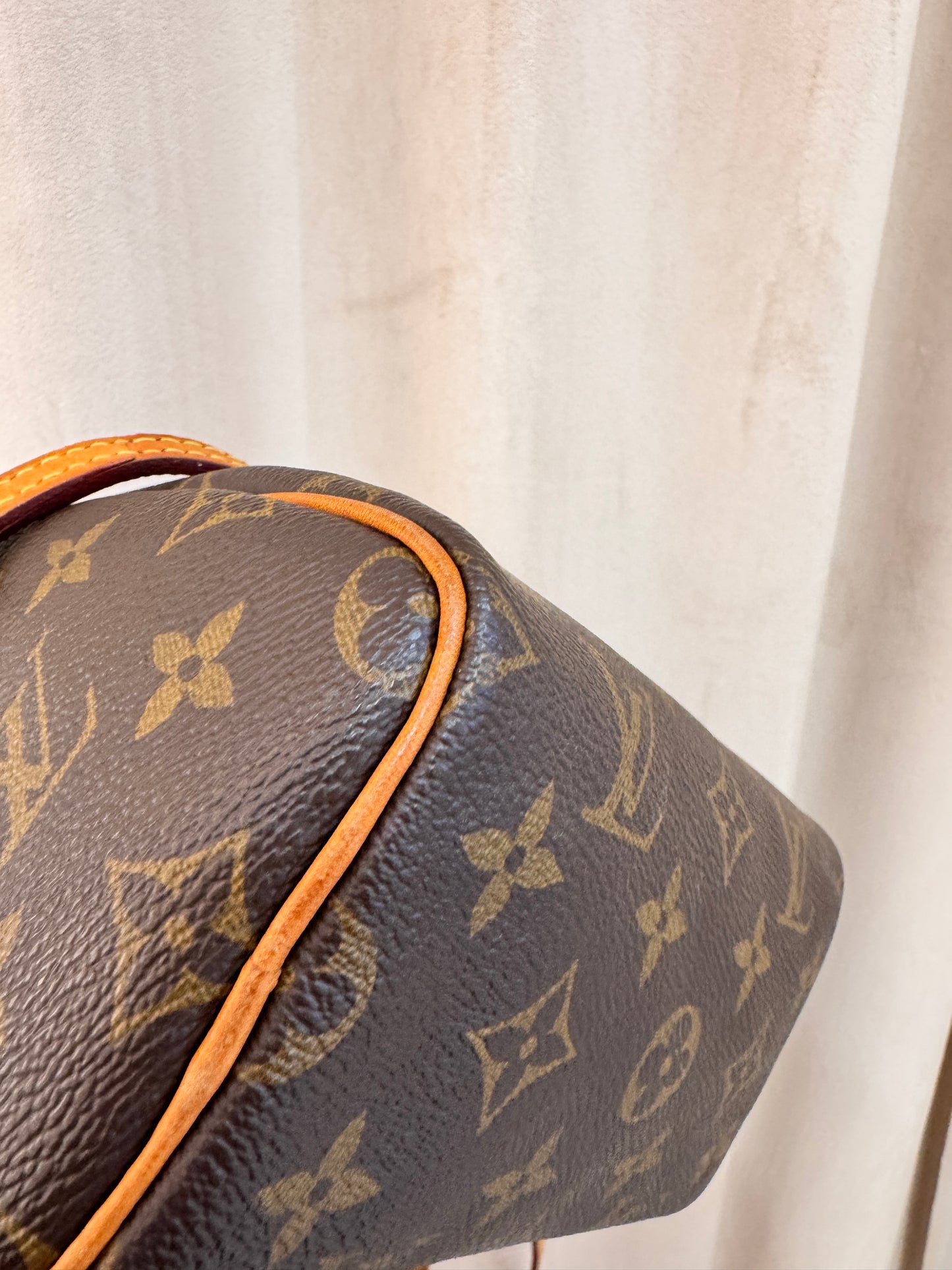 Louis Vuitton Speedy Nano