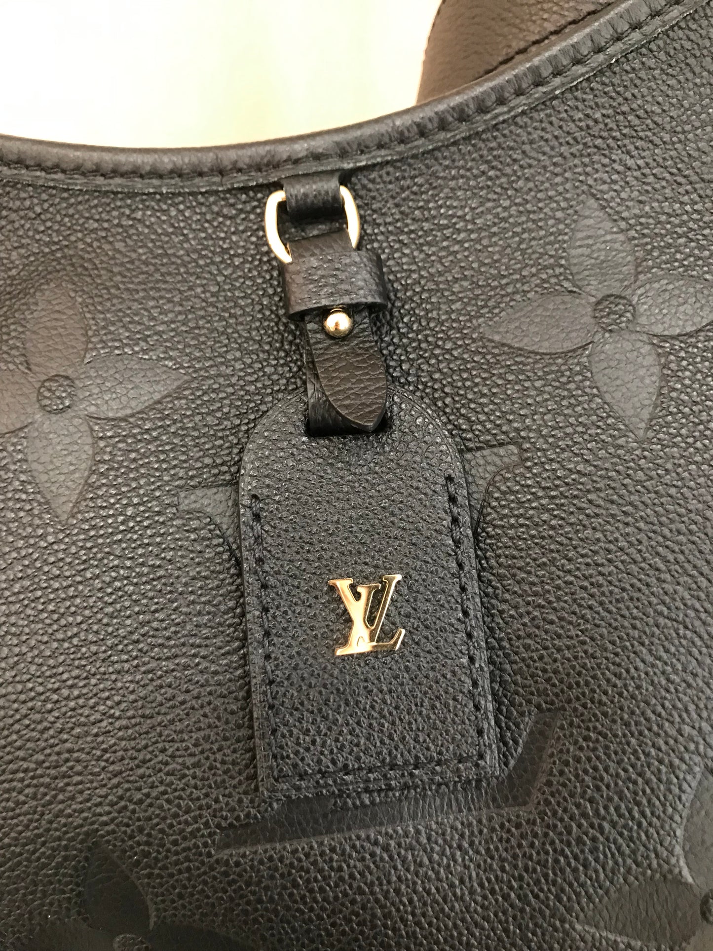 Louis Vuitton CarryAll tg PM