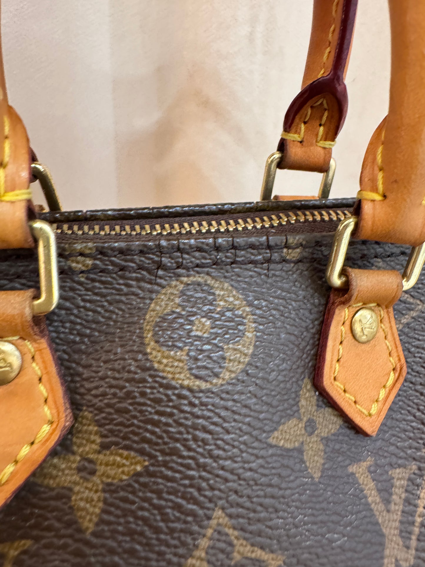 Louis Vuitton Speedy Nano