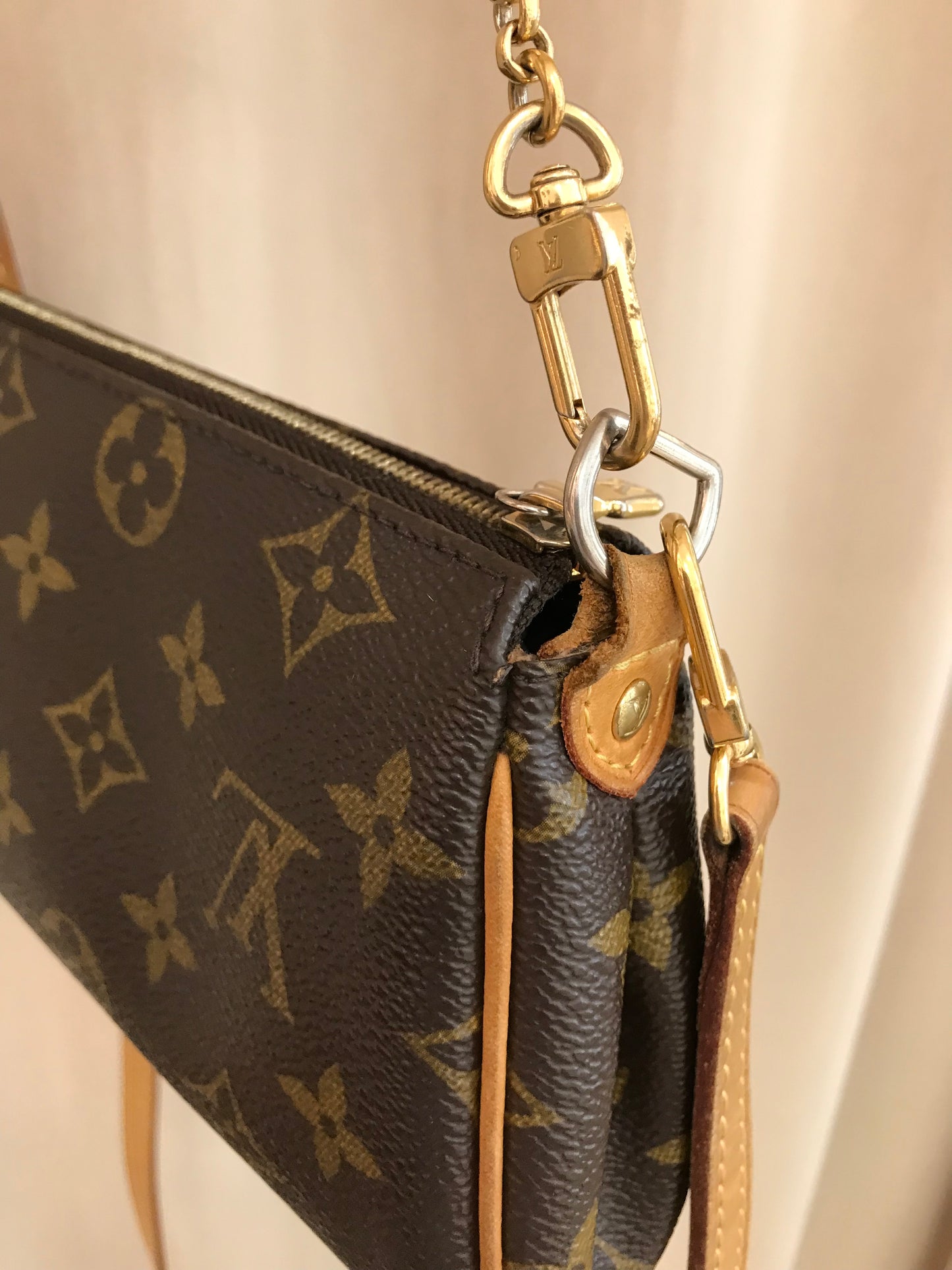Louis Vuitton Eva