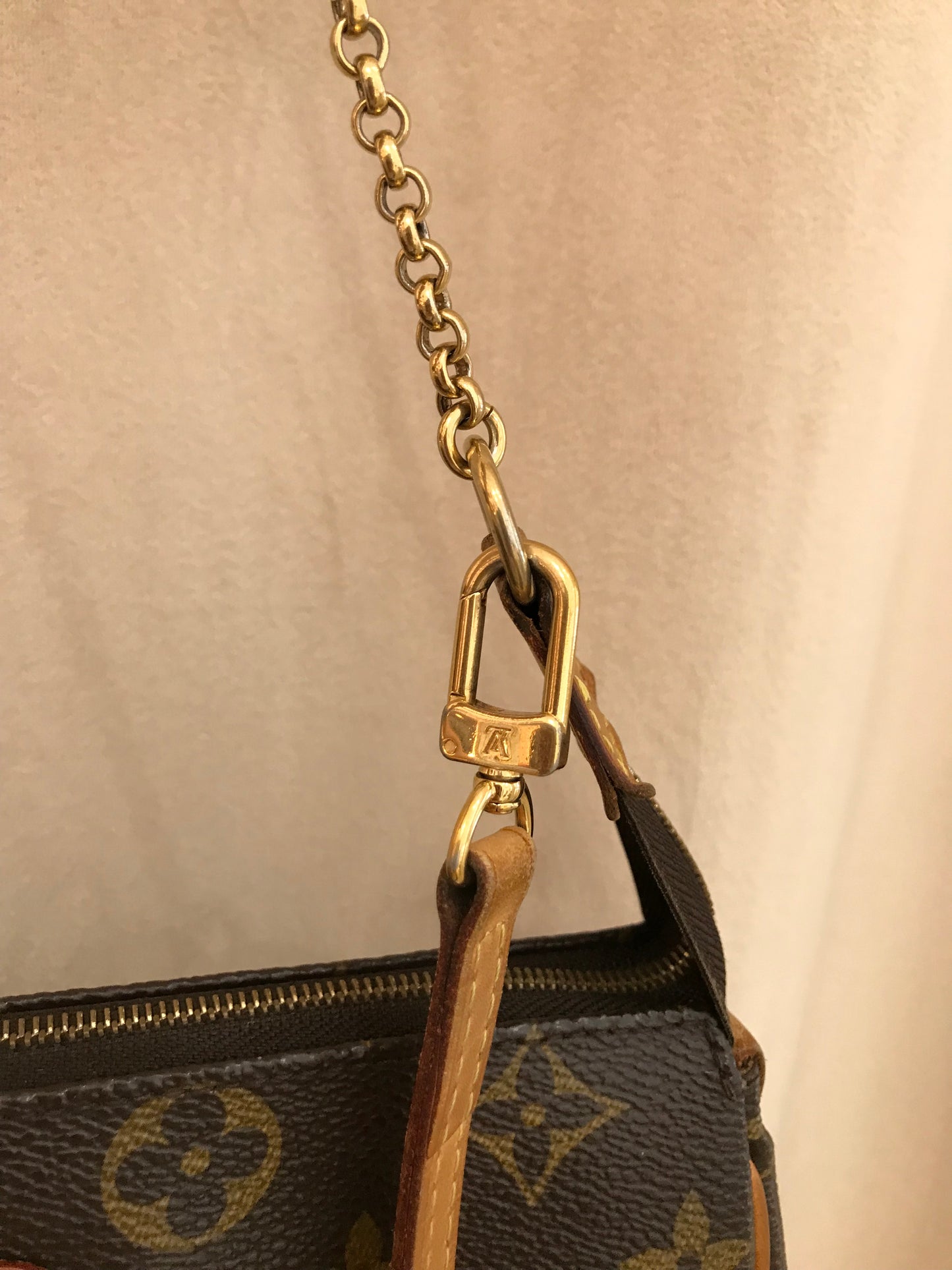 Louis Vuitton Eva