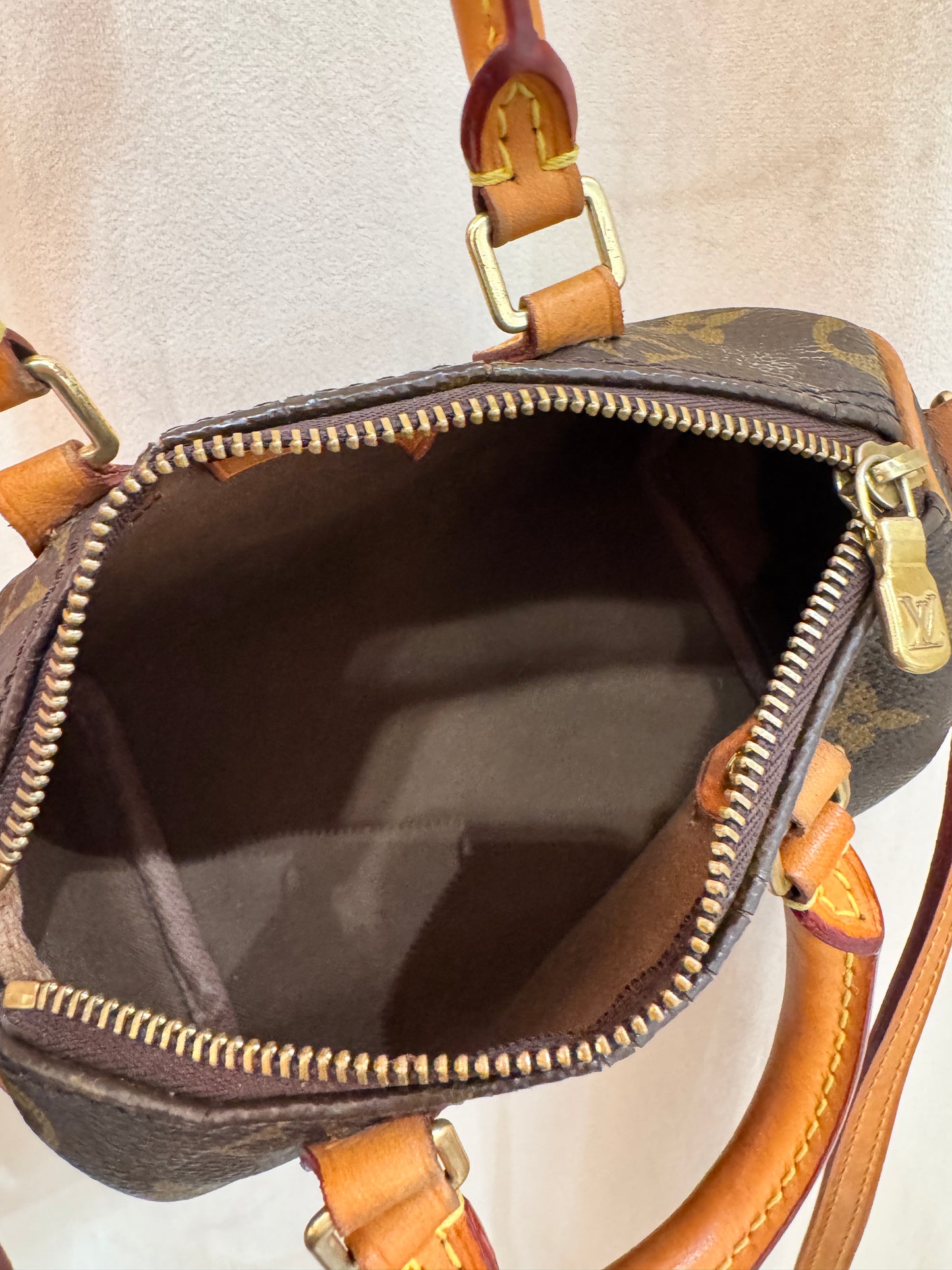 Louis Vuitton Speedy Nano