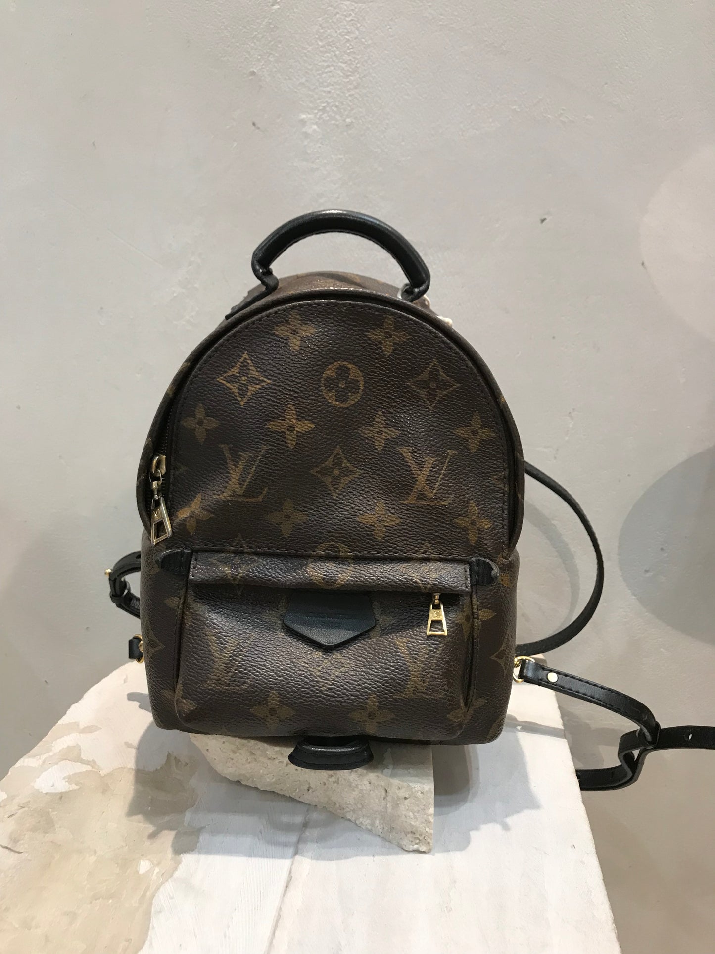 Louis Vuitton Palm Springs Mini