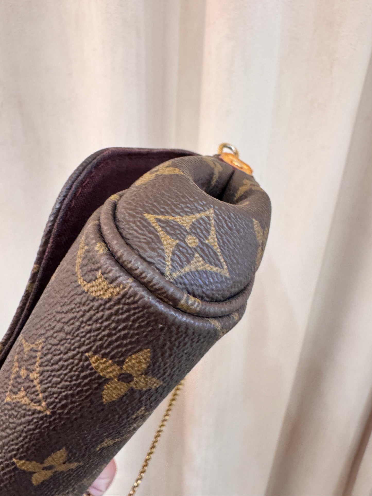 Louis Vuitton Favorite