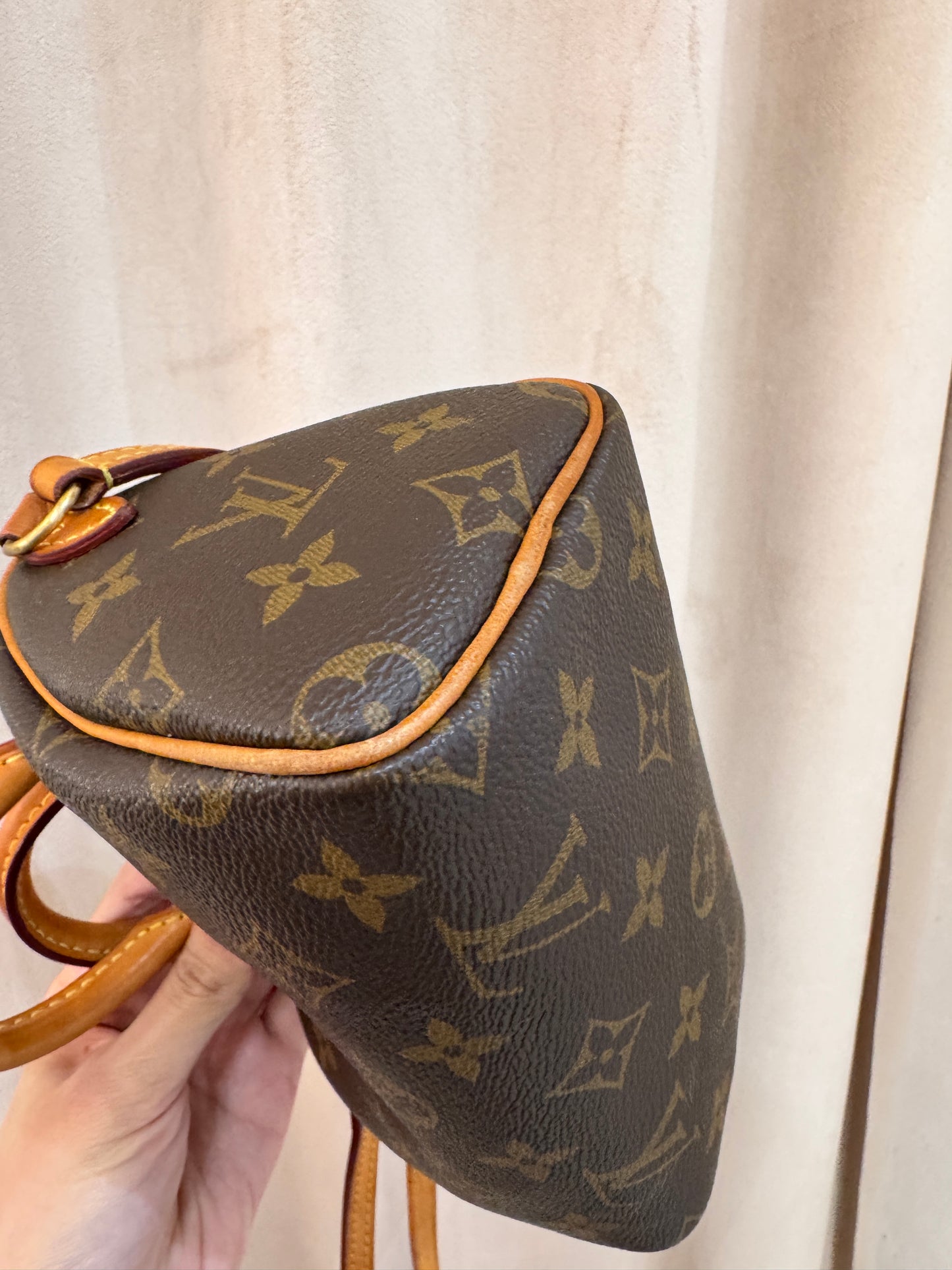 Louis Vuitton Speedy Nano