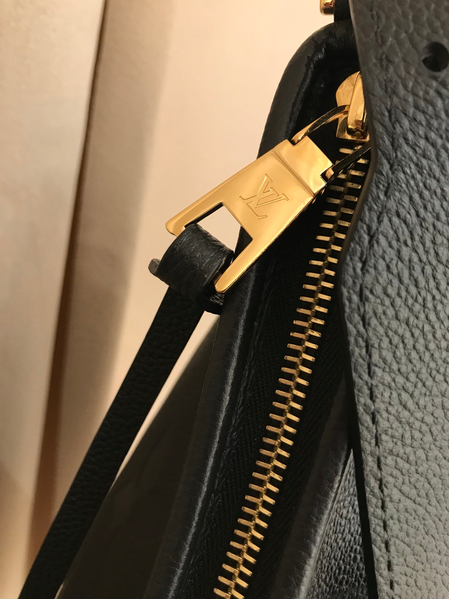 Louis Vuitton CarryAll tg PM