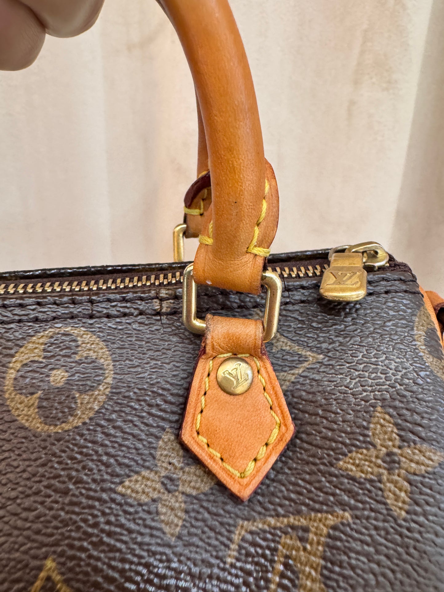 Louis Vuitton Speedy Nano