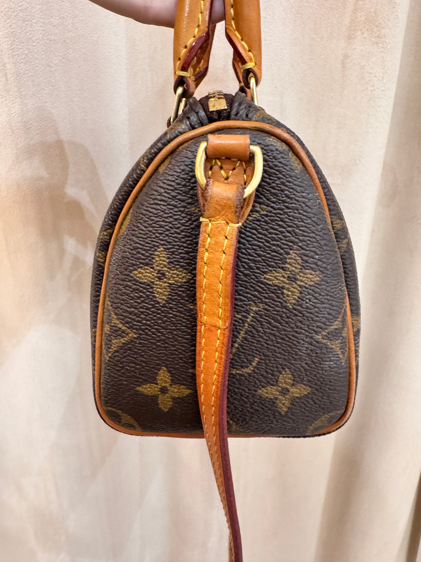 Louis Vuitton Speedy Nano