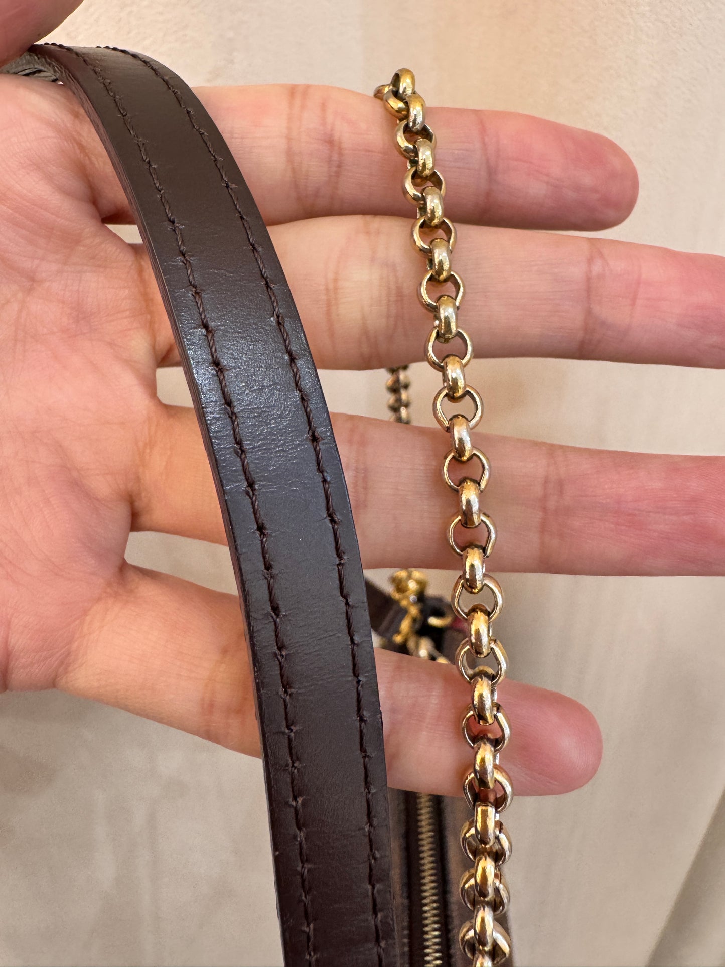 Louis Vuitton Eva