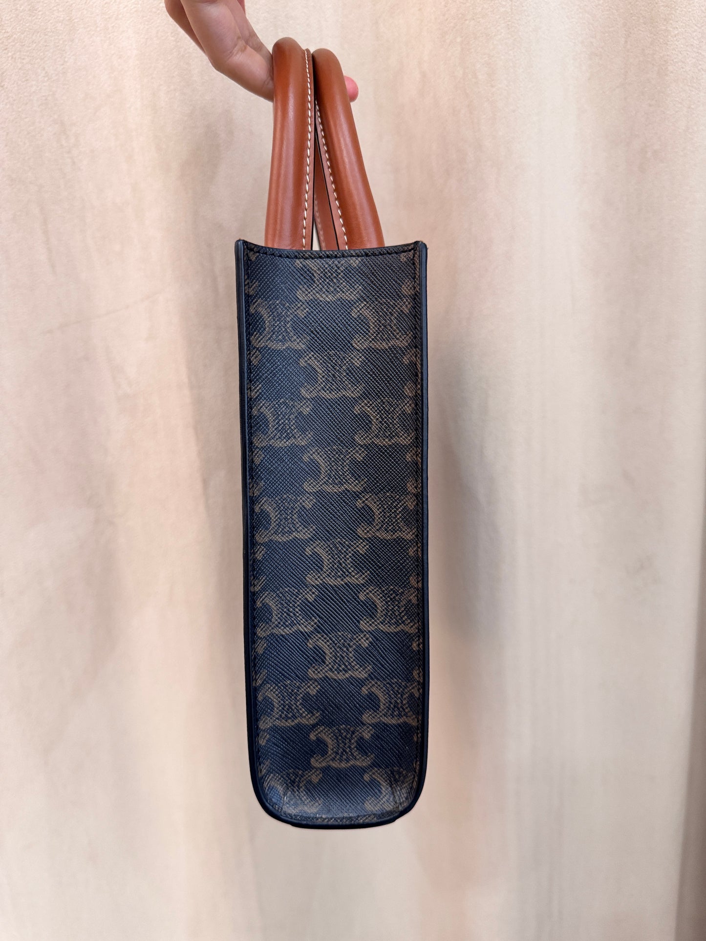 Celine Mini Triomphe Verticale