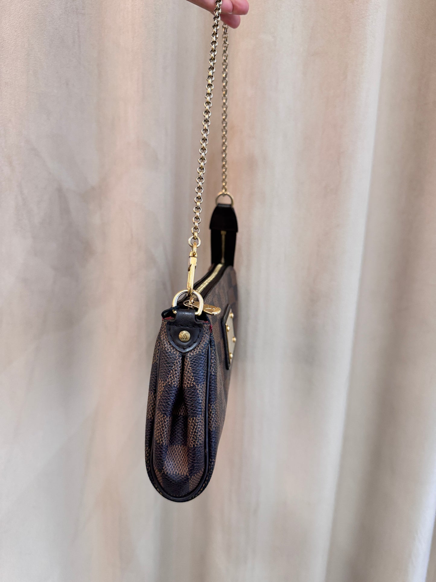 Louis Vuitton Eva
