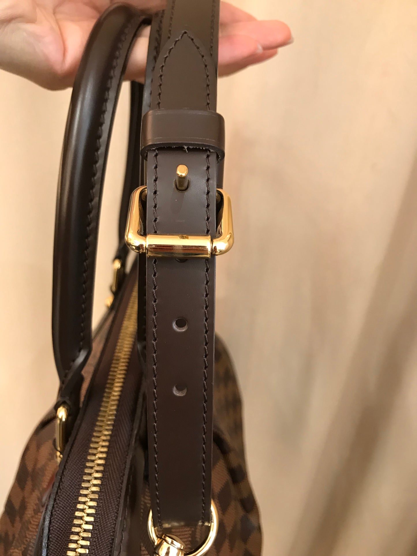Louis Vuitton Trevi