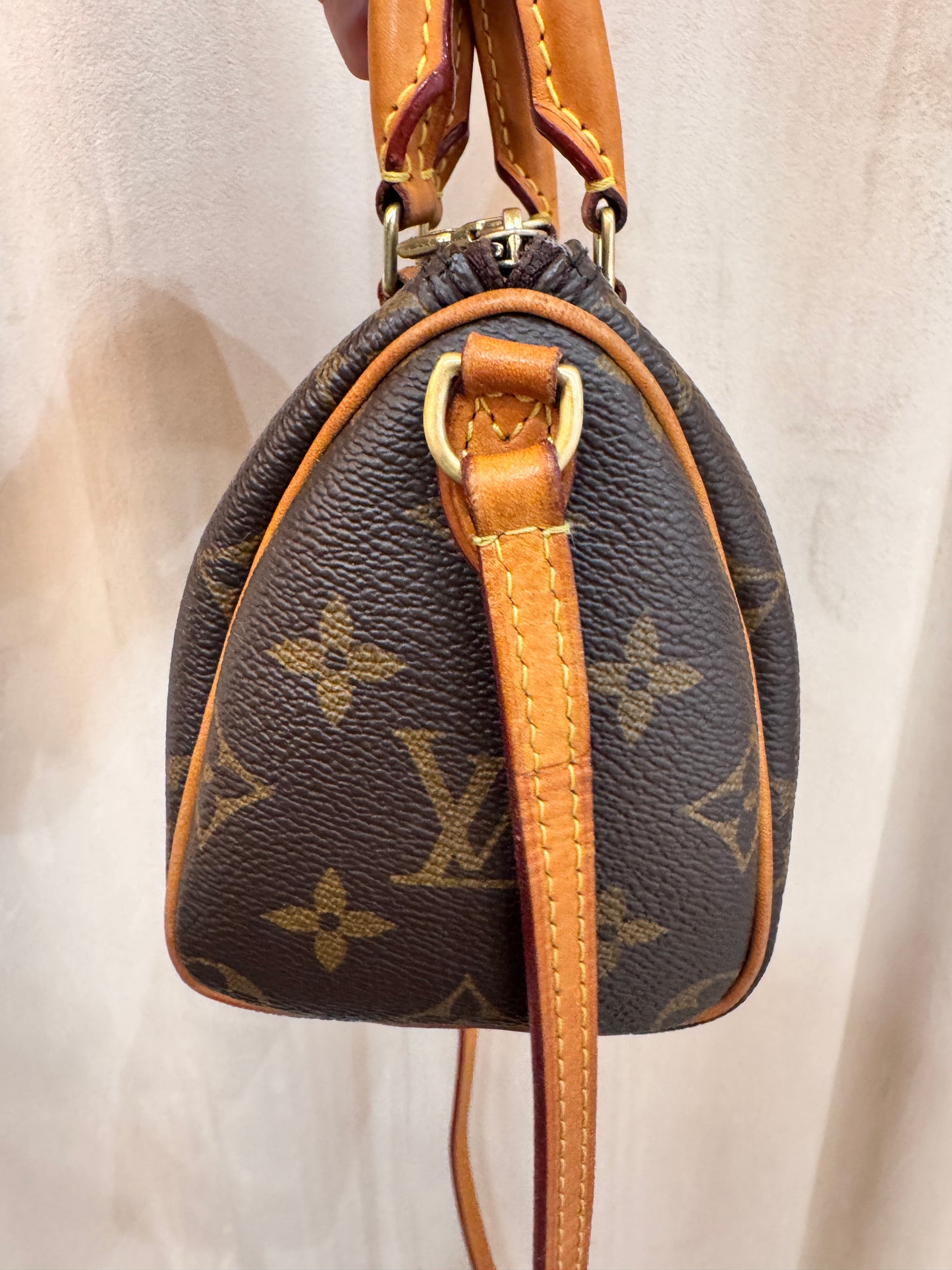 Louis Vuitton Speedy Nano
