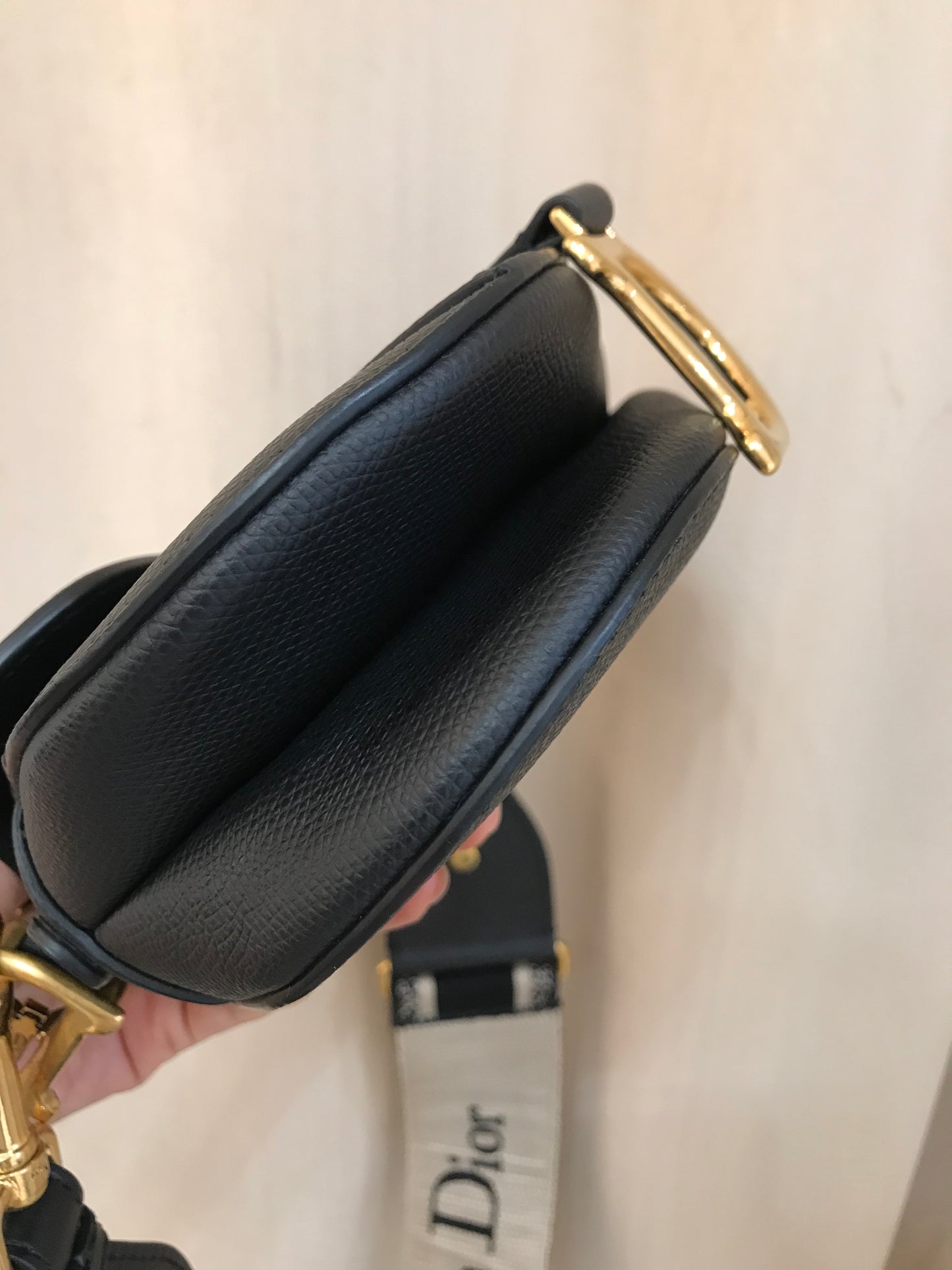 Dior Saddle Tg Mini