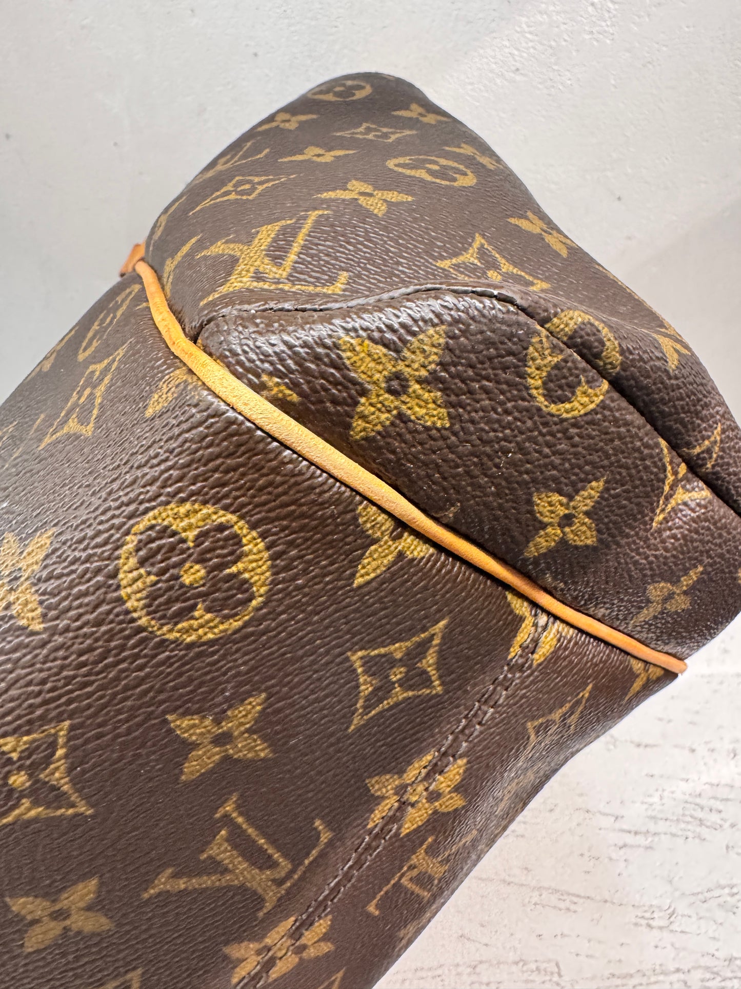 Louis Vuitton Tote Bag