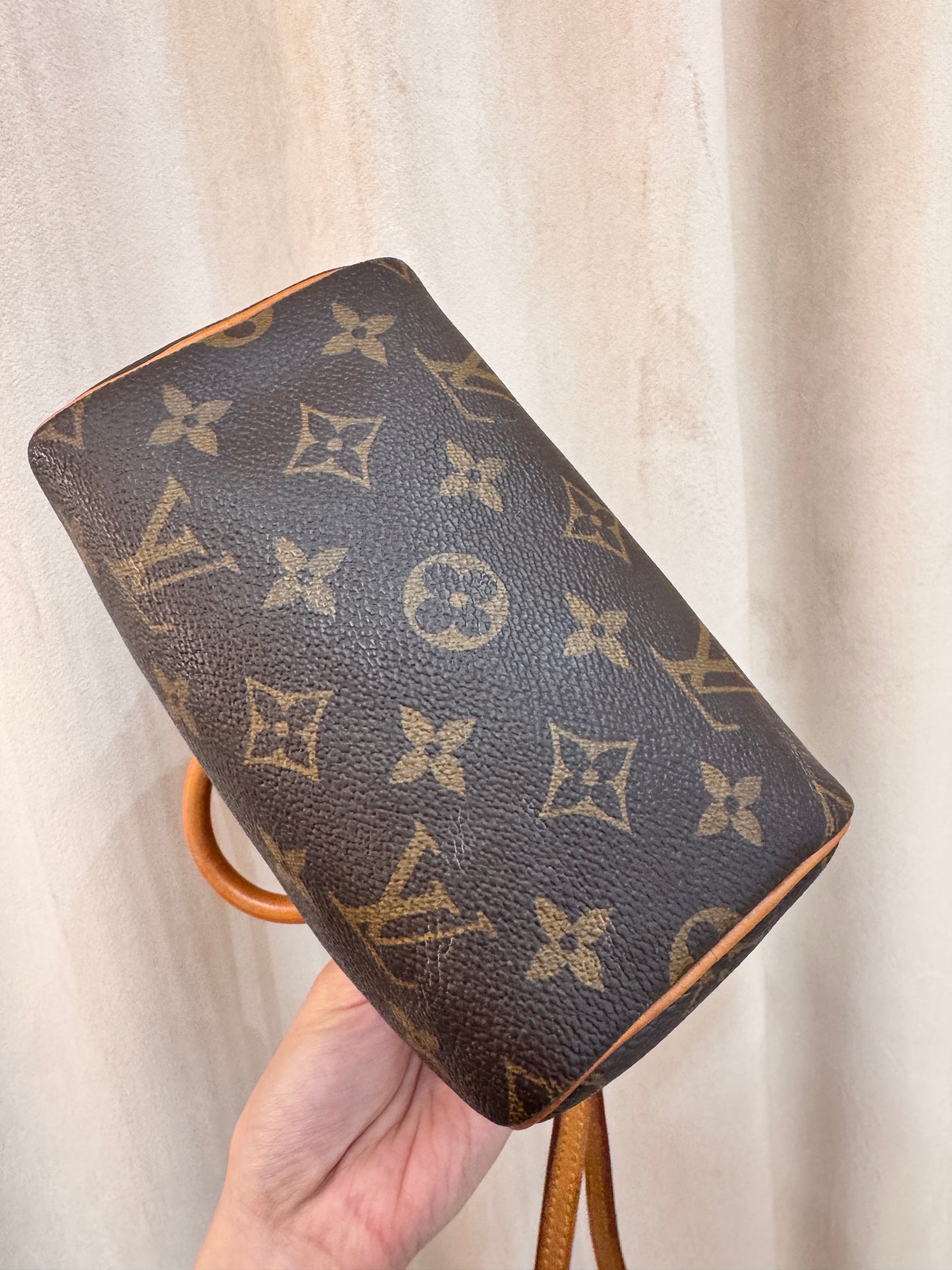 Louis Vuitton Speedy Nano