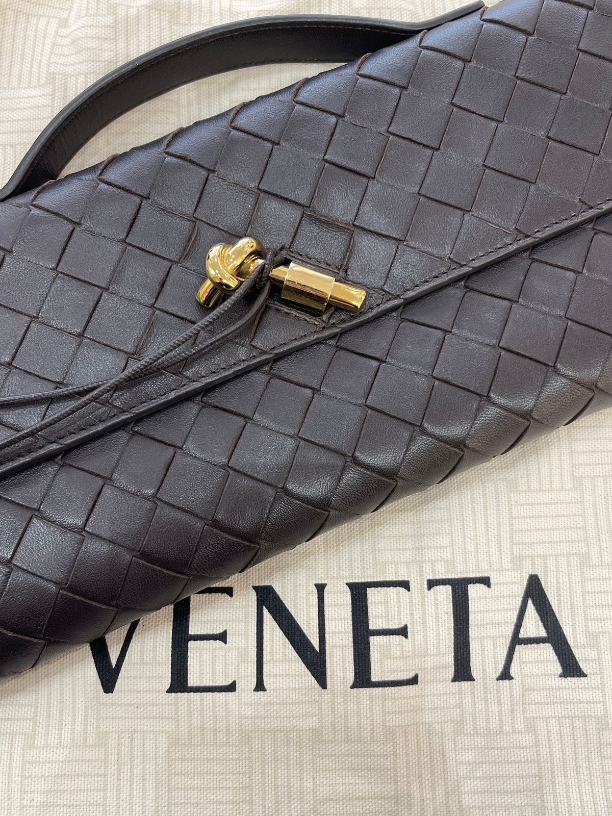 Bottega Veneta Andiamo Clutch Fondant
