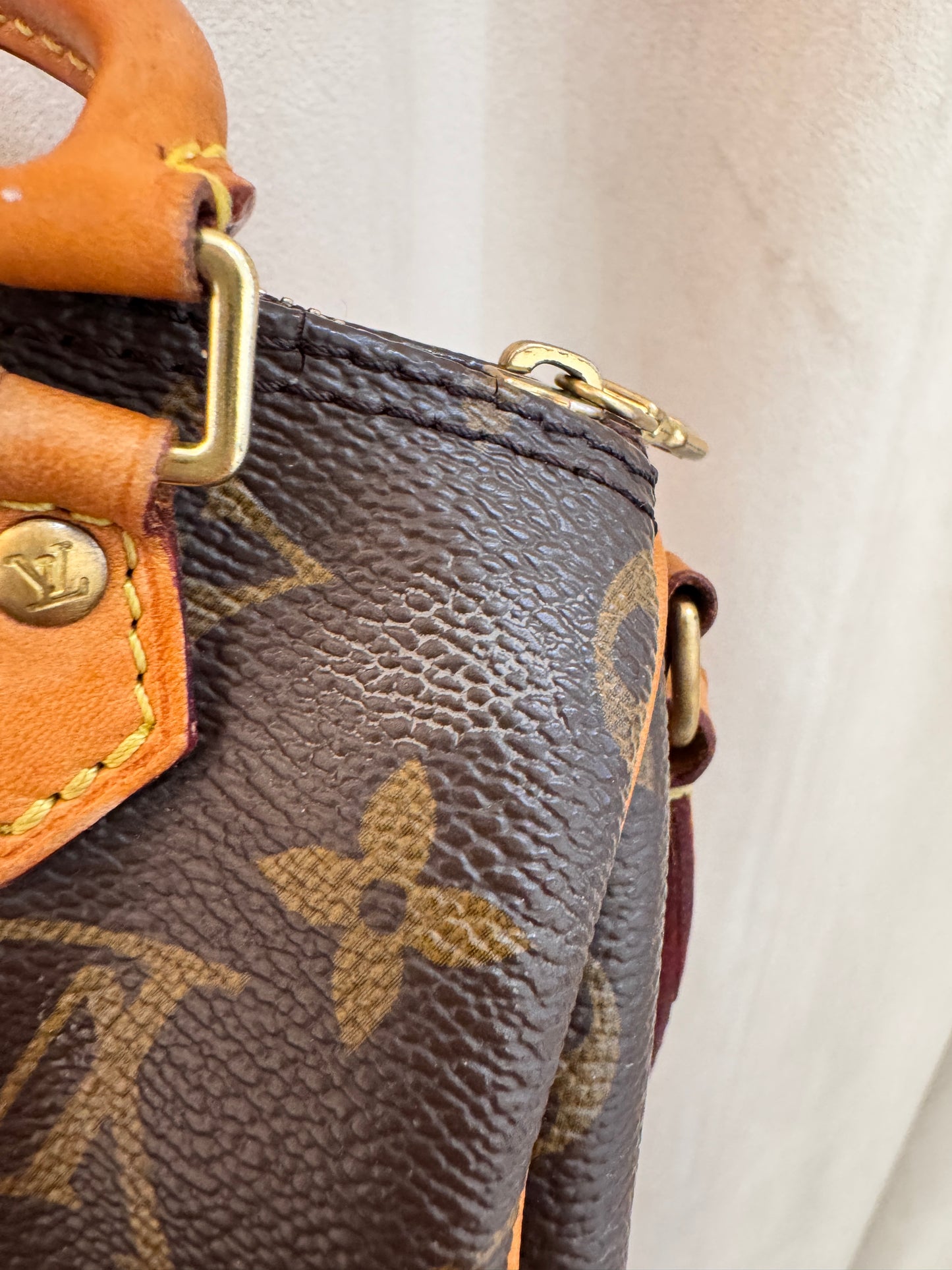 Louis Vuitton Speedy Nano