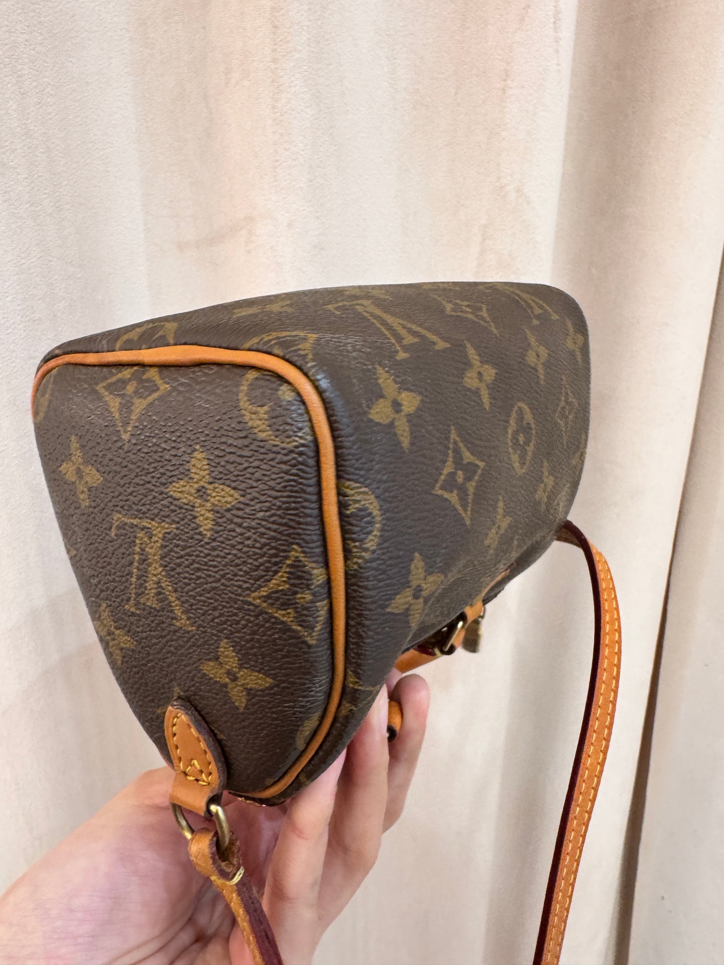 Louis Vuitton Speedy Nano