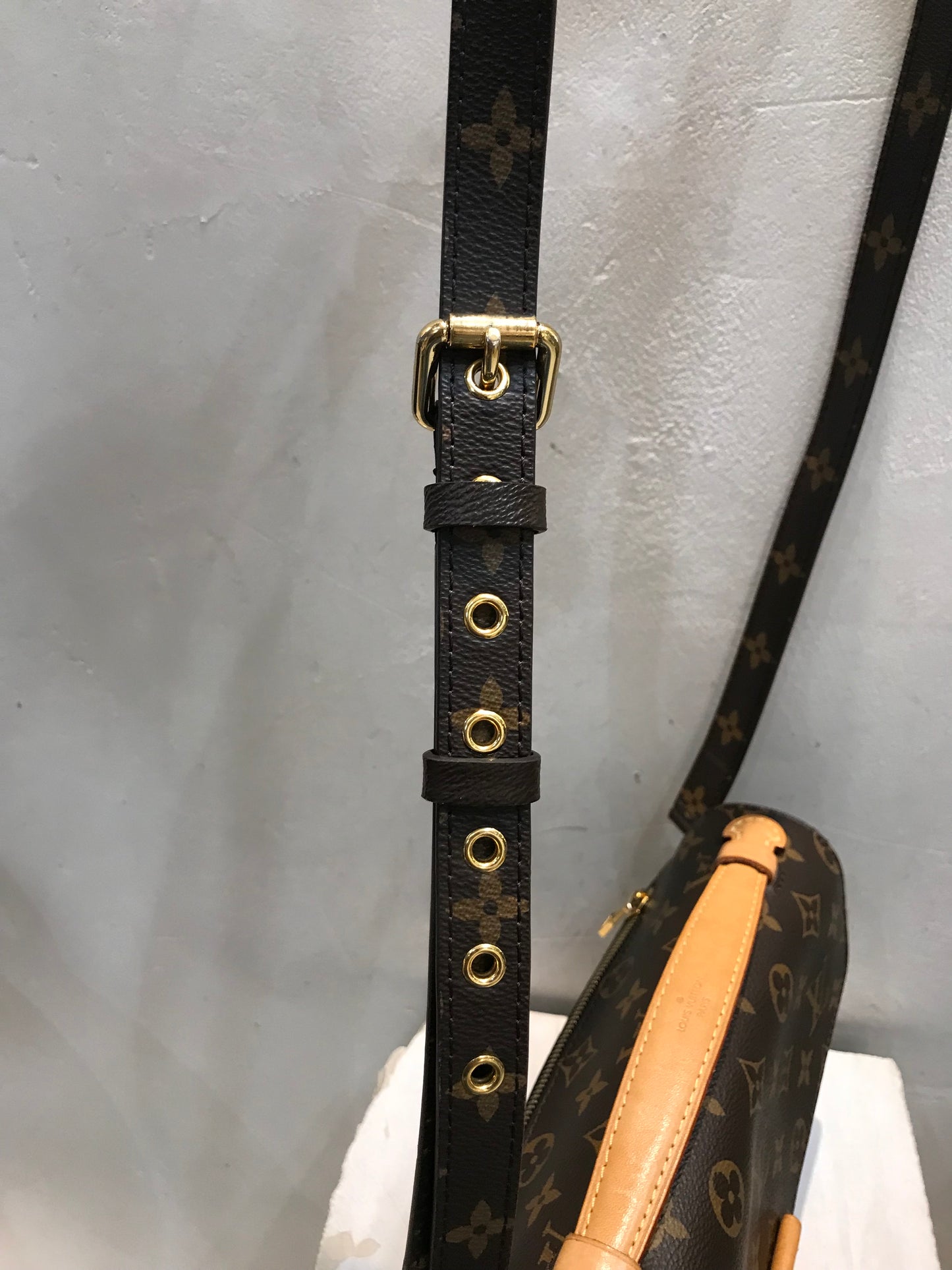 Louis Vuitton Metis