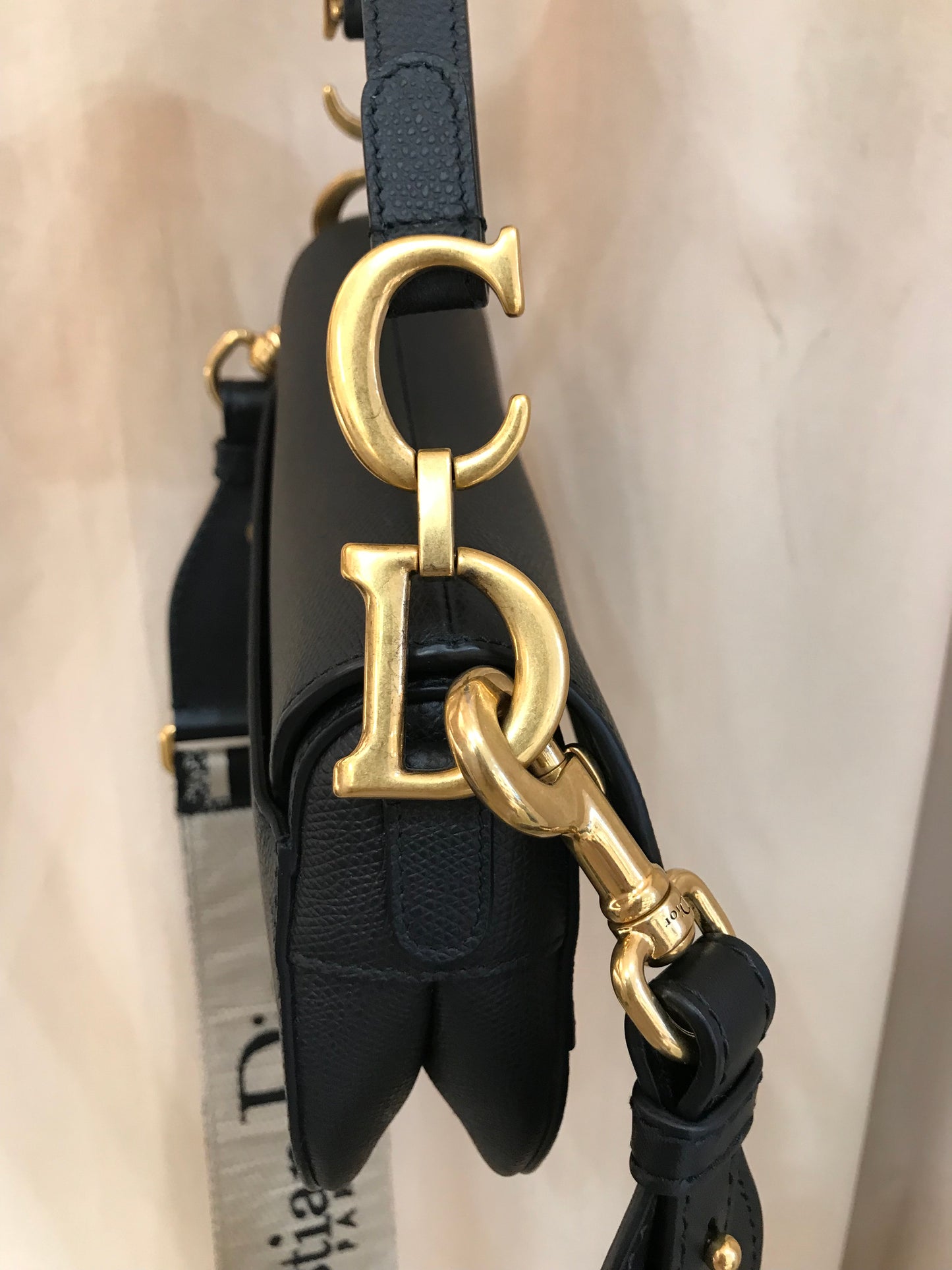Dior Saddle Tg Mini