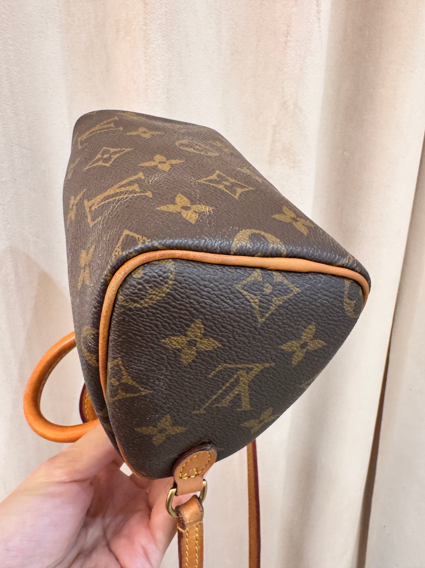 Louis Vuitton Speedy Nano