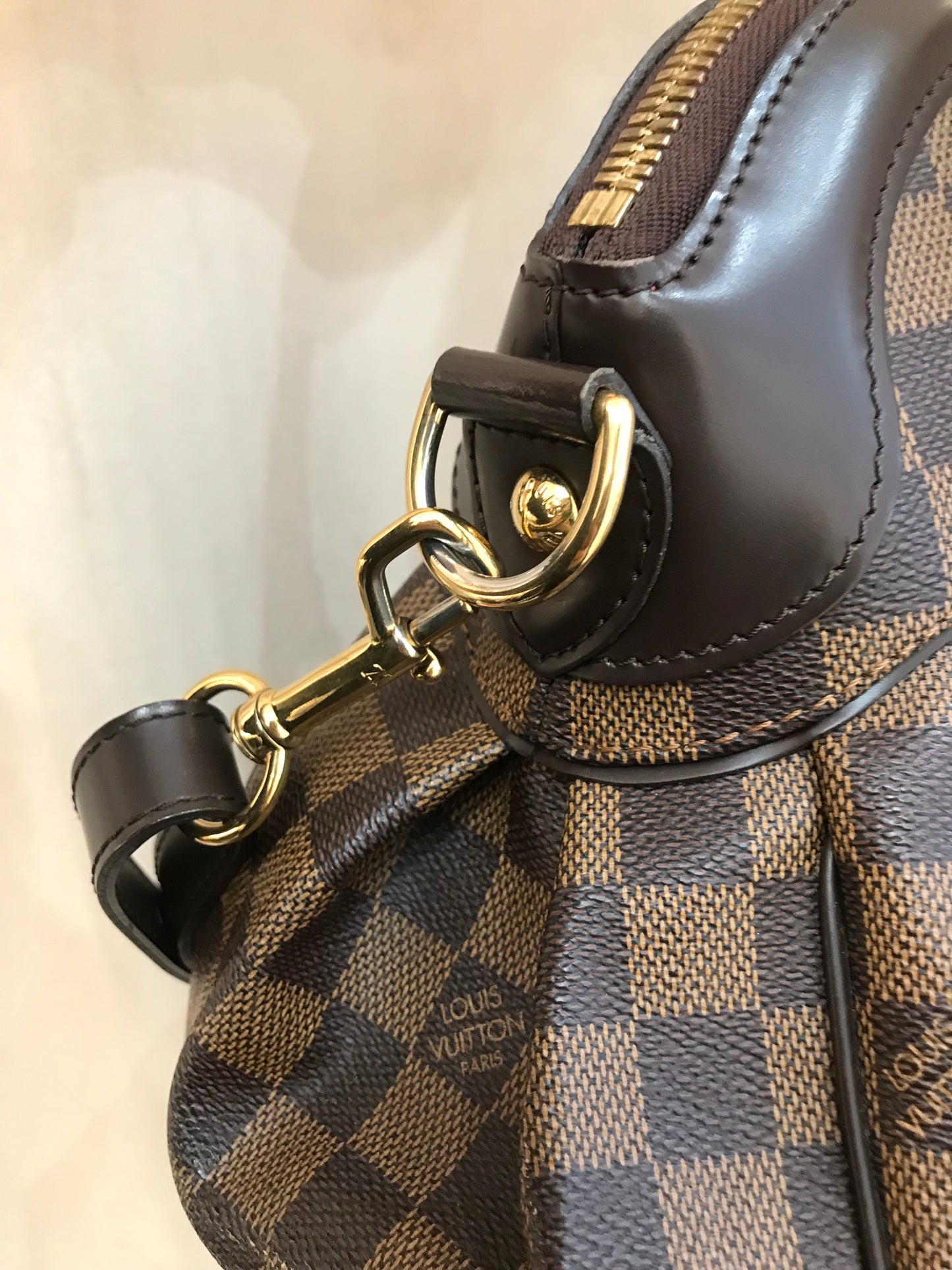 Louis Vuitton Trevi