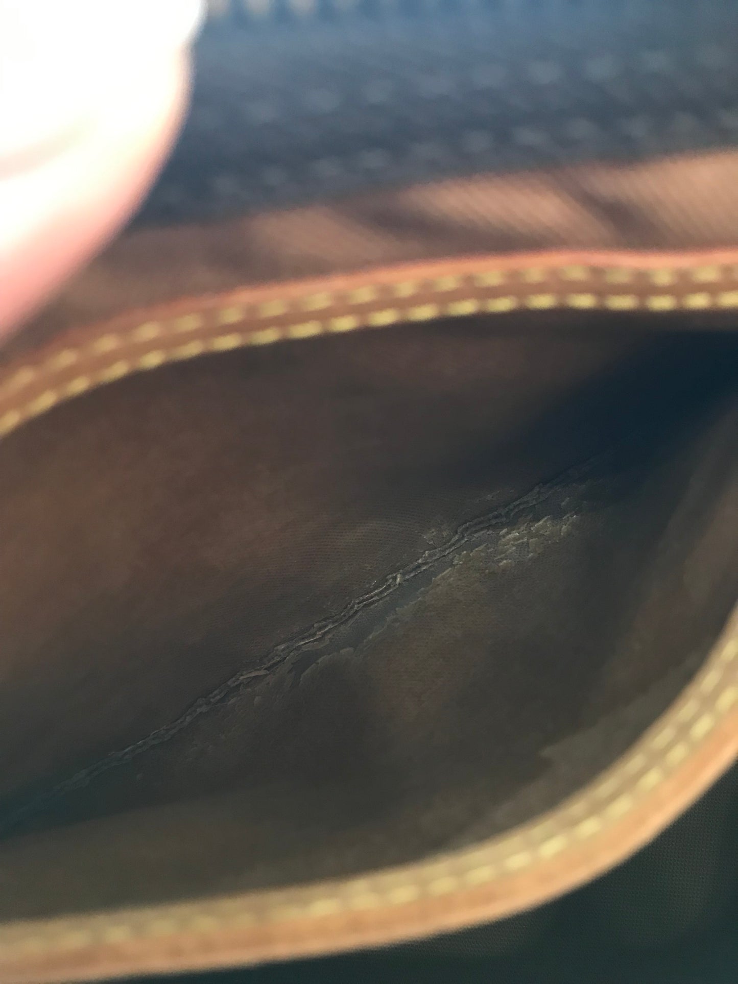 Louis Vuitton Speedy25