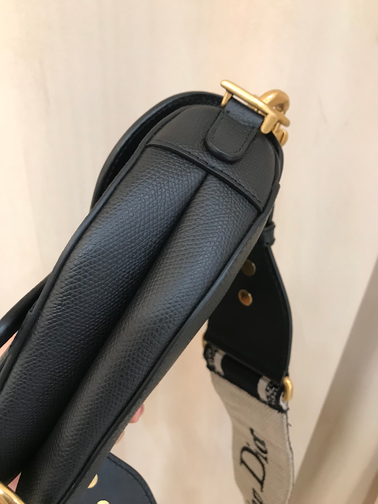 Dior Saddle Tg Mini